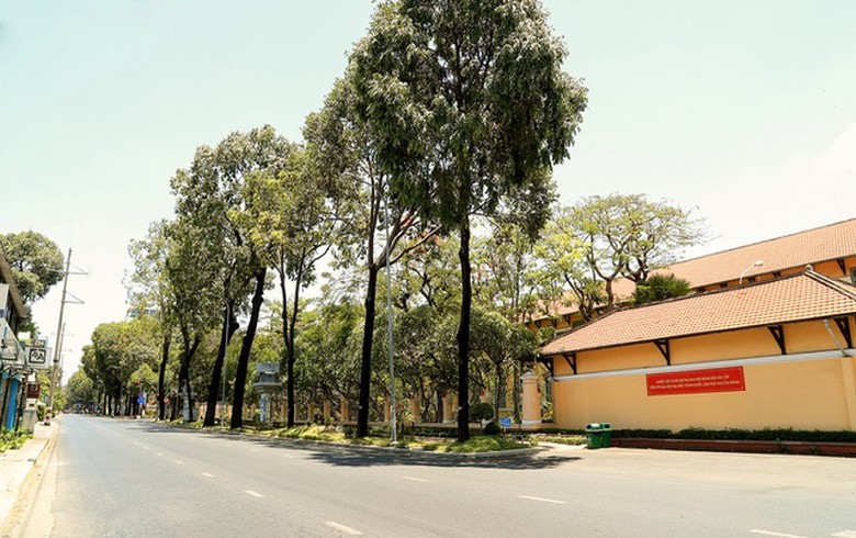 co mot sai gon vang ve ngoai suc tuong tuong