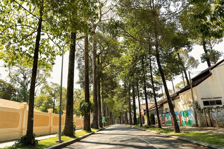 co mot sai gon vang ve ngoai suc tuong tuong