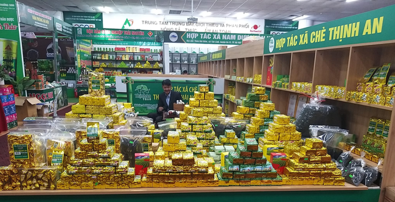 thai nguyen nhung buoc phat trien ngoan muc