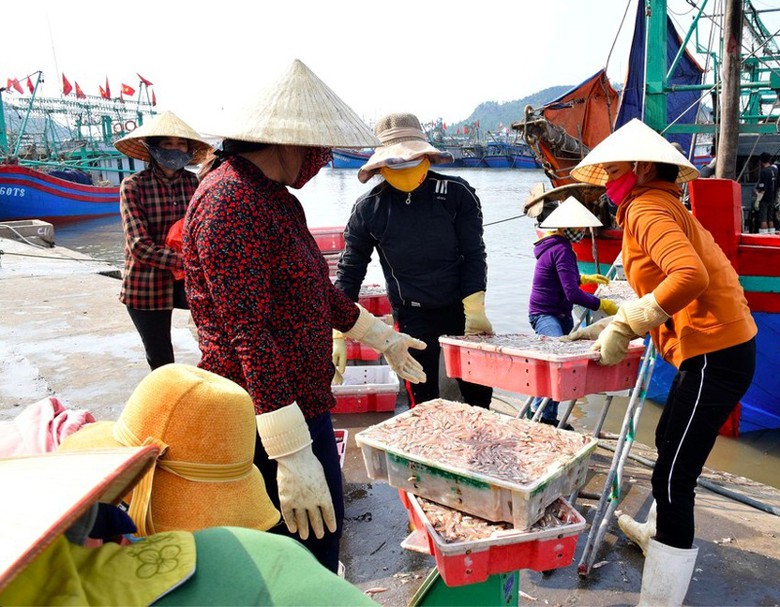 nghe an phe duyet quy hoach chi tiet 1500 du an cang thuy noi dia tong hop quynh loc