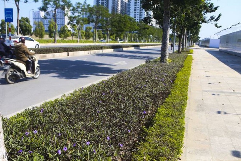 ngam tuyen duong 10 lan xe chua duoc dat ten tai thu do