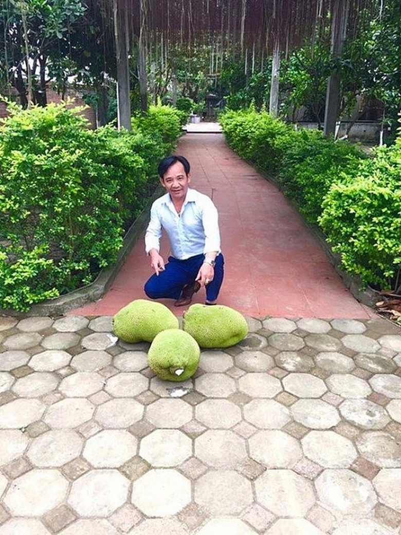 cuoc song du da voi nghe cua nghe si quang teo o tuoi 60