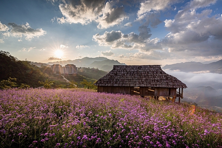 di choi cong vien sao cho van minh