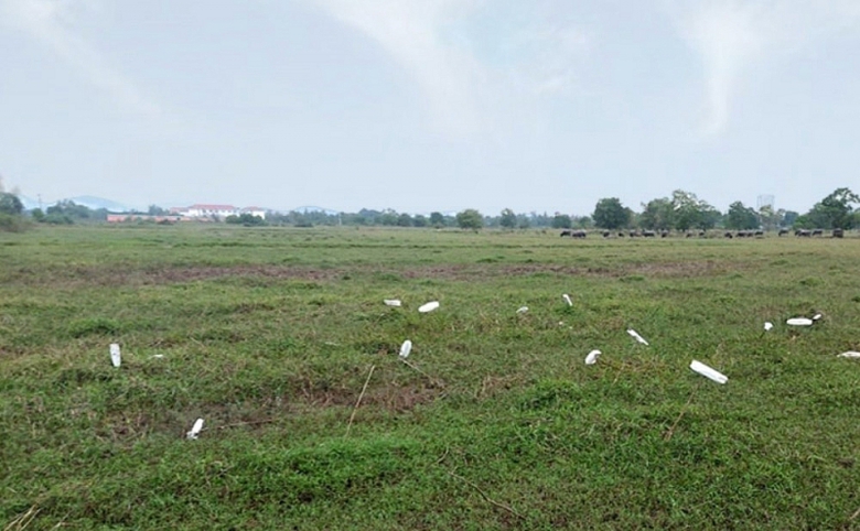 bai 41 du an truong dai hoc cong nghe van xuan giai doan 2 sau 12 nam van la bai dat trong