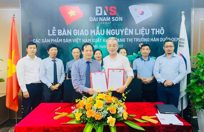 dai nam son group tao buoc tien lon trong linh vuc hop tac san xuat che bien san pham sam viet nam