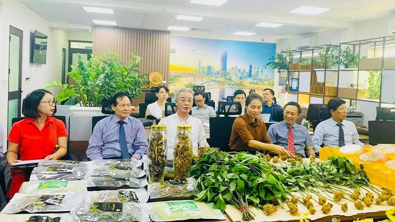 dai nam son group tao buoc tien lon trong linh vuc hop tac san xuat che bien san pham sam viet nam