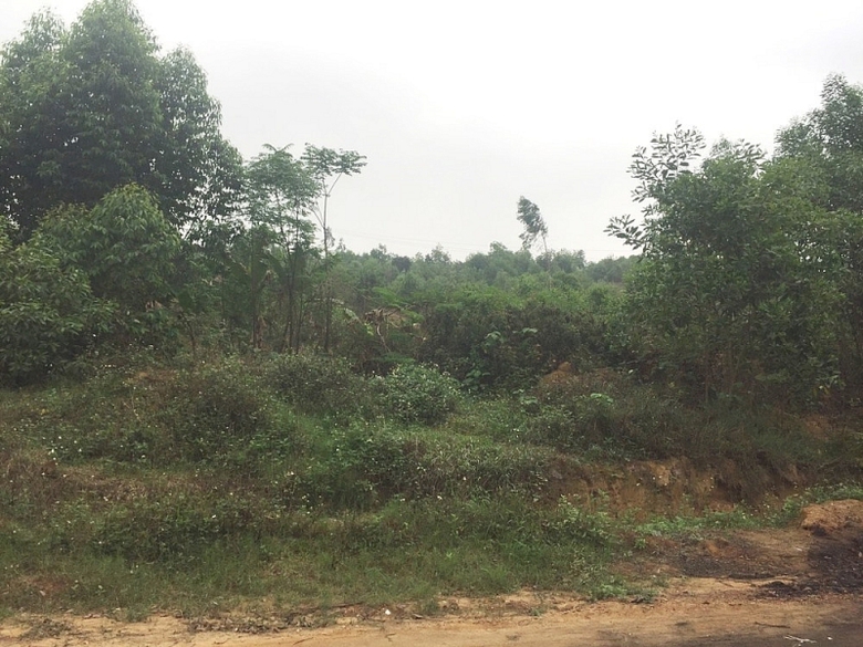vinh phuc can lam ro don thu khieu nai cua nguoi dan