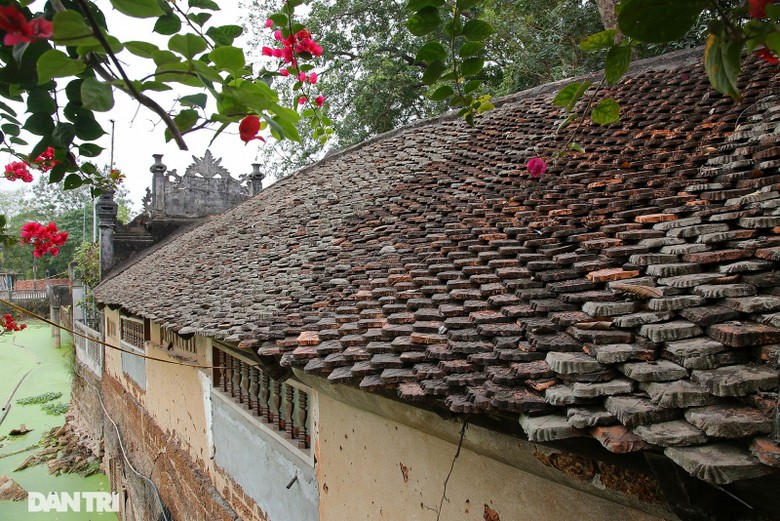 doc la cay cau co hinh thuyen nan up nguoc o ha noi
