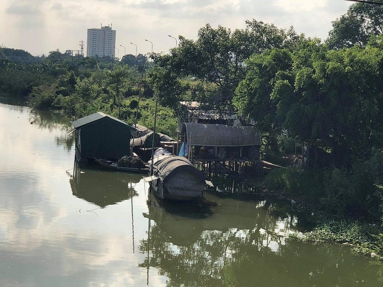 nghe an gia nao de cuu song vinh