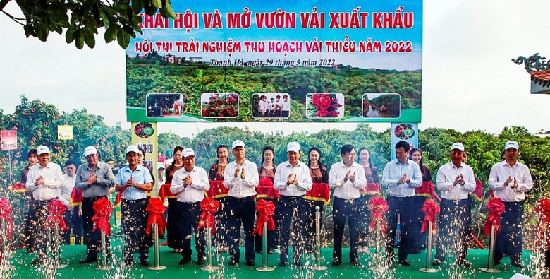 hai duong nhieu giai phap nang cao gia tri qua vai thieu va cac san pham tieu bieu