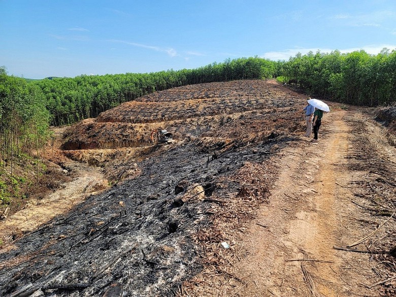 nghe an phe duyet tien dat truoc dau gia quyen khai thac khoang san doi voi 30 khu vuc mo