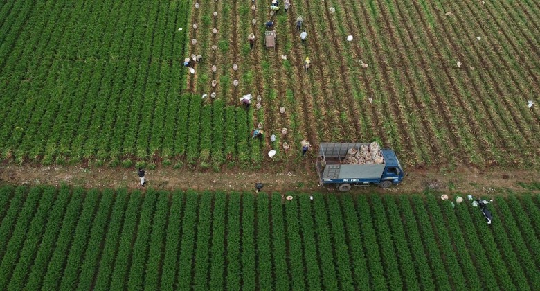 co hoi va thach thuc voi xuat khau viet nam tu hiep dinh cptpp