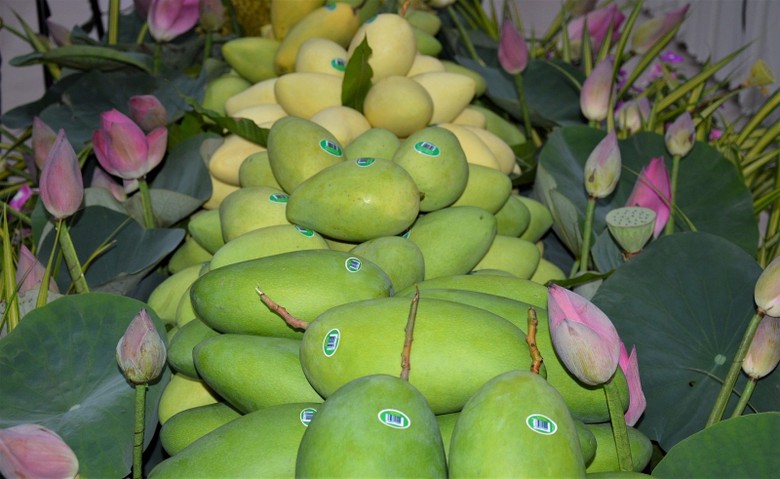 co hoi va thach thuc voi xuat khau viet nam tu hiep dinh cptpp