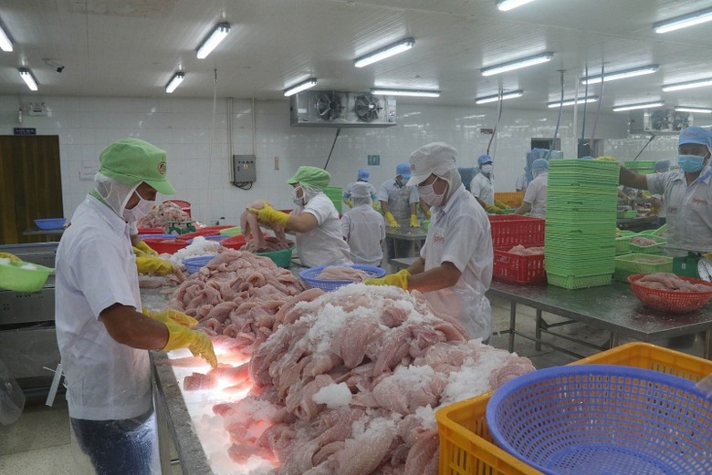 co hoi va thach thuc voi xuat khau viet nam tu hiep dinh cptpp