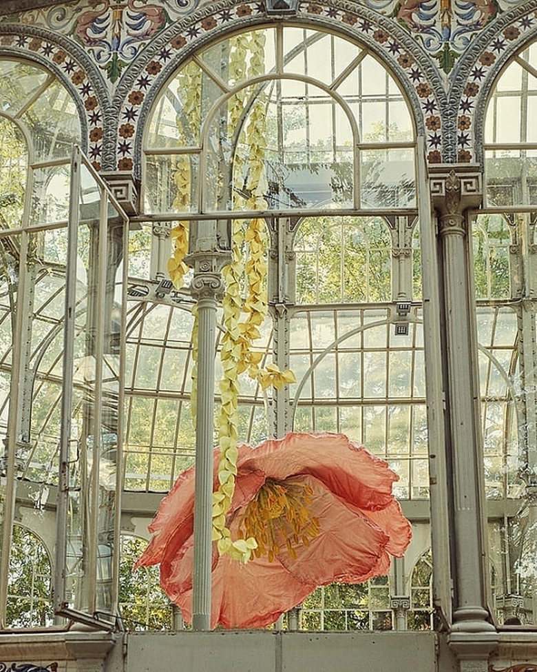 cung dien pha le tram tuoi hut khach check in