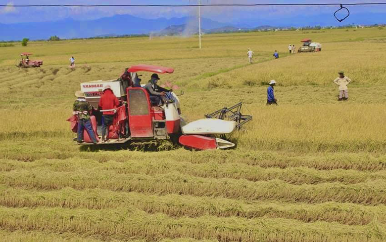 ninh thuan hoan thanh cac muc tieu de ra trong dieu kien gap nhieu thach thuc