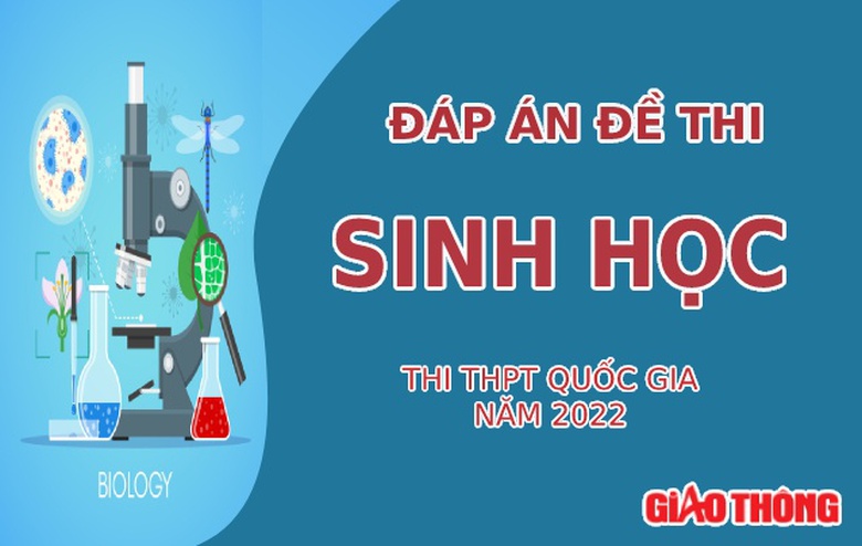 Đ&aacute;p &aacute;n đề thi m&ocirc;n Sinh học tốt nghiệp THPT 2022 tất cả m&atilde; đề- Ảnh 1.