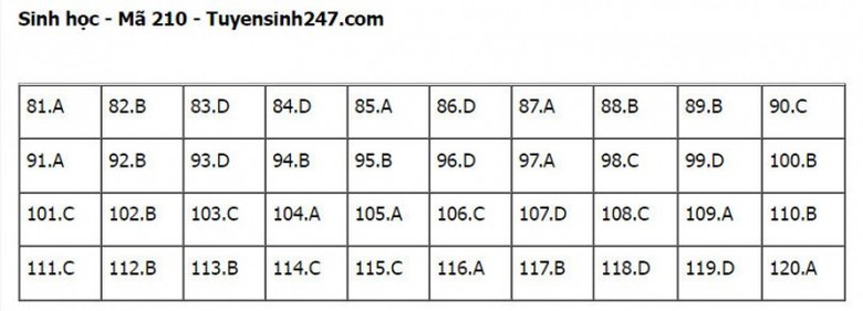 Đ&aacute;p &aacute;n đề thi m&ocirc;n Sinh học tốt nghiệp THPT 2022 tất cả m&atilde; đề- Ảnh 11.