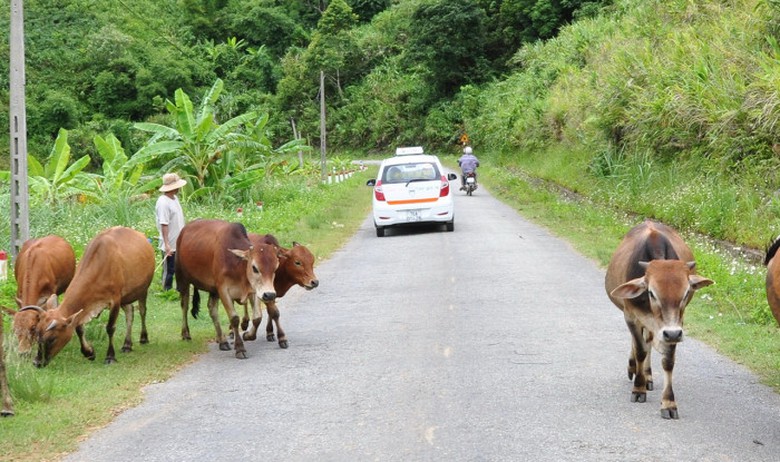 Chuyện xẻ dọc đại ng&agrave;n mở đường giữa Đ&ocirc;ng Trường Sơn- Ảnh 3.