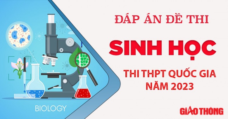 Đ&aacute;p &aacute;n đề thi m&ocirc;n Sinh học tốt nghiệp THPT 2023 tất cả m&atilde; đề- Ảnh 25.