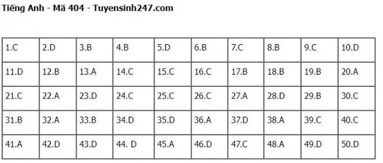 Đ&aacute;p &aacute;n đề thi m&ocirc;n Tiếng Anh THPT Quốc gia 2023 Full m&atilde; đề- Ảnh 4.