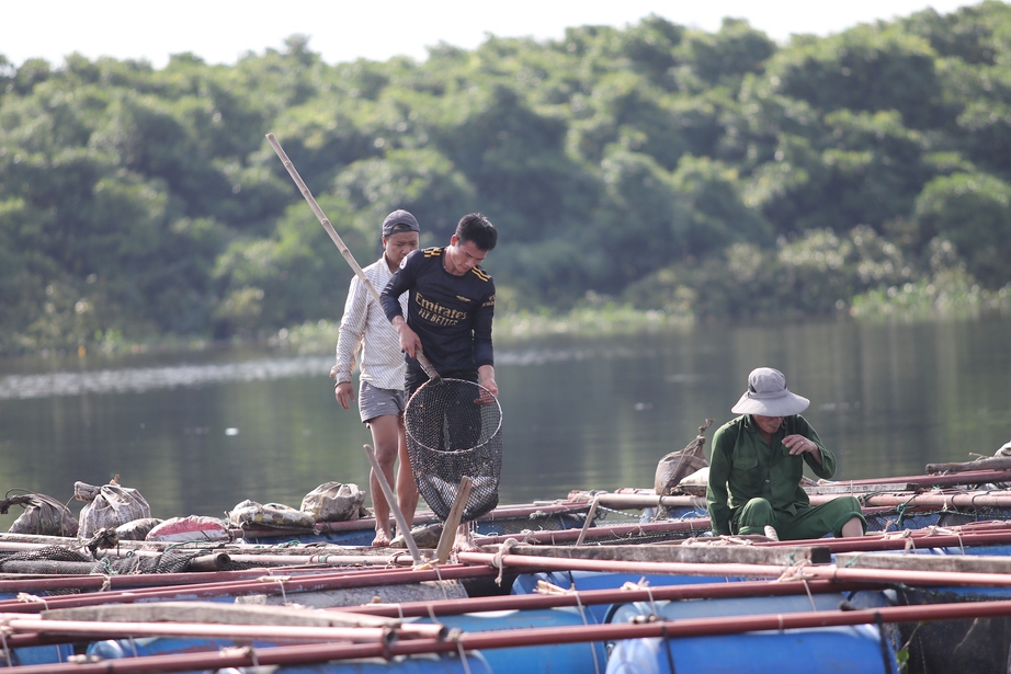 H&agrave;ng chục tấn c&aacute; nu&ocirc;i lồng b&egrave; tr&ecirc;n s&ocirc;ng ở H&agrave; Tĩnh chết do đ&acirc;u? - Ảnh 3.