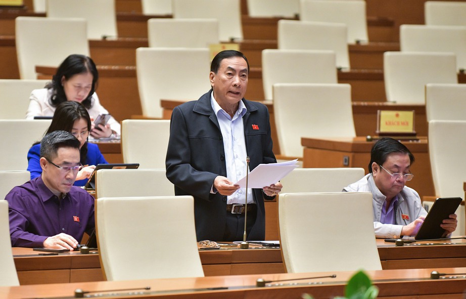 Đại biểu Quốc hội: Phải ngăn c&ograve; mồi, đe dọa cưỡng &eacute;p trong đấu gi&aacute; t&agrave;i sản - Ảnh 3.