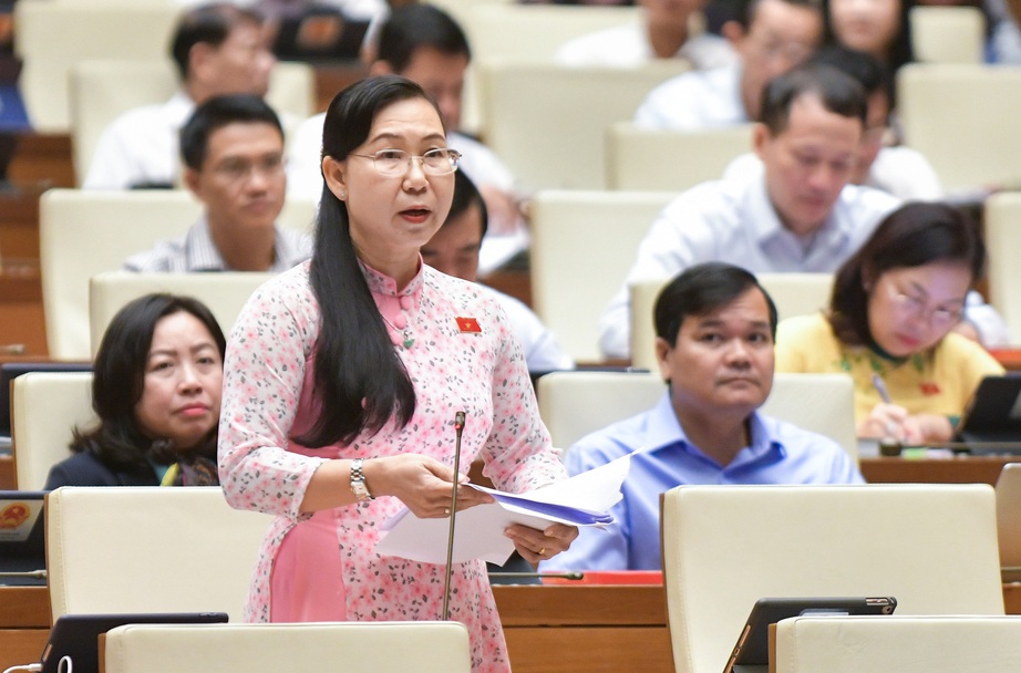 Đại biểu Quốc hội: Phải ngăn c&ograve; mồi, đe dọa cưỡng &eacute;p trong đấu gi&aacute; t&agrave;i sản - Ảnh 4.