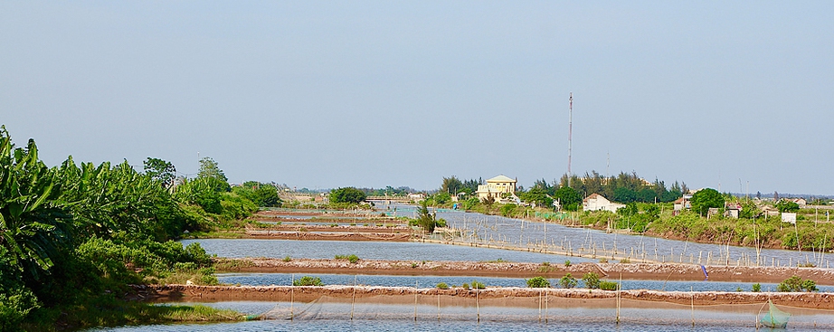 Nam Định: Vụ việc Cồn Xanh v&agrave;o diện BCĐ ph&ograve;ng chống tham nhũng theo d&otilde;i, chỉ đạo - Ảnh 1.