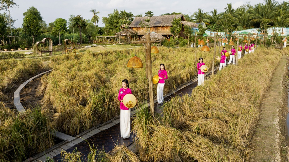 B&aacute;n kết Người đẹp T&acirc;y Đ&ocirc;: Th&iacute; sinh diện &aacute;o b&agrave; ba catwalk giữa đồng l&uacute;a - Ảnh 2.