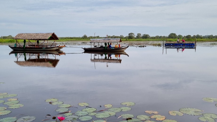 Lễ 2/9, về Đồng Tháp vui chơi nên chọn những điểm nào? - Ảnh 7. Lễ 2/9, về Đồng Tháp vui chơi nên chọn những điểm nào? - Ảnh 7.