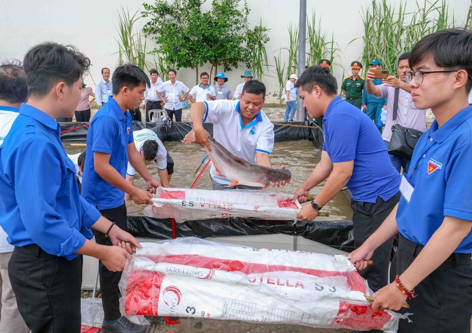 Thả triệu con c&aacute; giống xuống s&ocirc;ng Hậu để t&aacute;i tạo nguồn thủy sản - Ảnh 3.