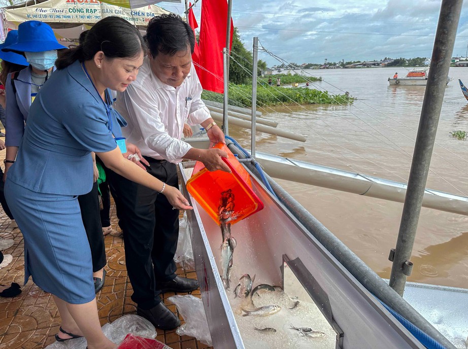 Thả triệu con c&aacute; giống xuống s&ocirc;ng Hậu để t&aacute;i tạo nguồn thủy sản - Ảnh 1.