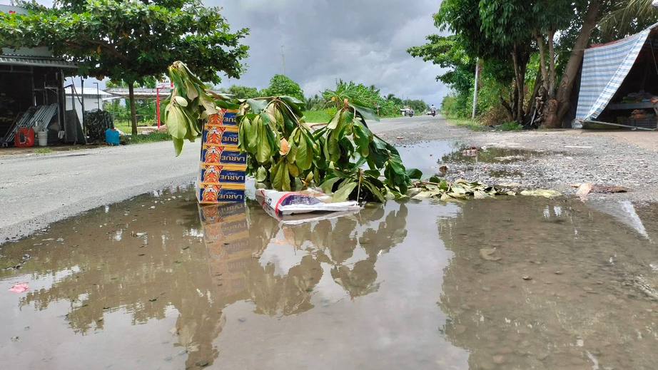 Sớm sửa chữa hư hỏng QL1 qua C&agrave; Mau - Ảnh 1.