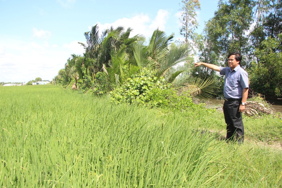 Đường V&agrave;nh đai 3 TP.HCM qua Long An: V&igrave; sau khu t&aacute;i định cư chưa x&acirc;y dựng? - Ảnh 1.