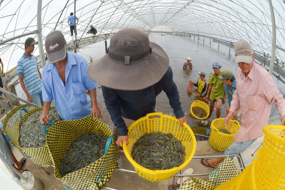 Nhận diện 4 điểm yếu để Đồng bằng s&ocirc;ng Cửu Long bức ph&aacute; - Ảnh 1.