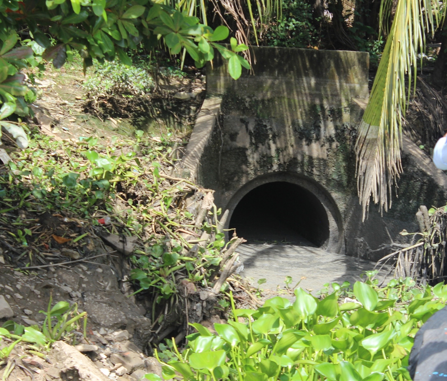 Công ty Japfa chi nhánh Long An bị phạt 30 triệu đồng - Ảnh 1. Công ty Japfa chi nhánh Long An bị phạt 30 triệu đồng - Ảnh 1.