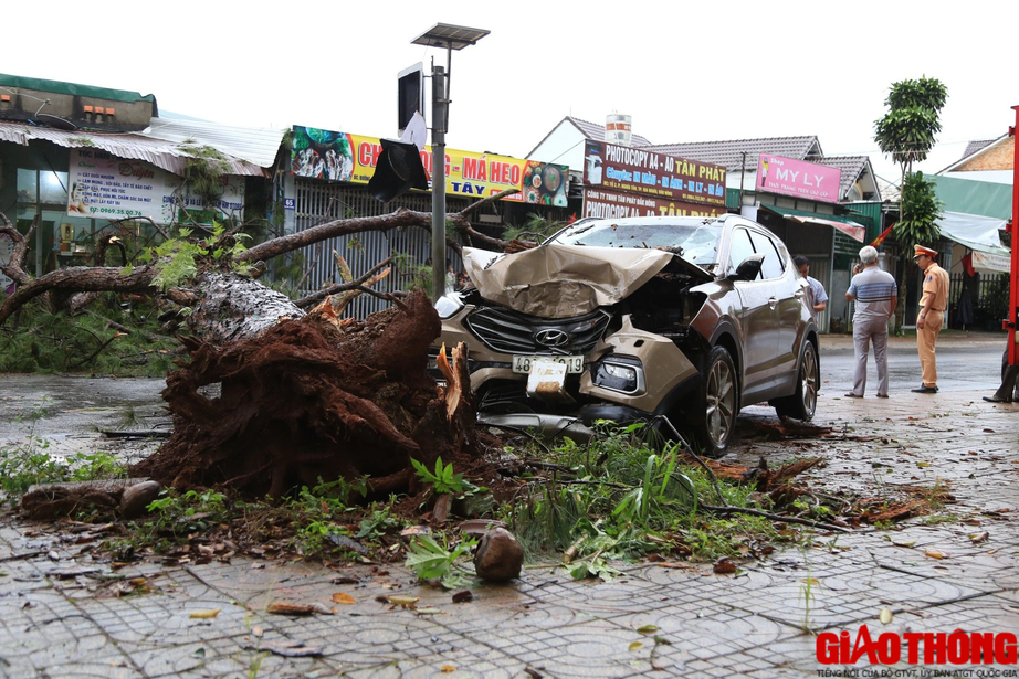 &Ocirc; t&ocirc; đ&acirc;m v&agrave;o gốc c&acirc;y, CSGT đang l&agrave;m hiện trường th&igrave; c&acirc;y g&atilde;y đổ  - Ảnh 1.