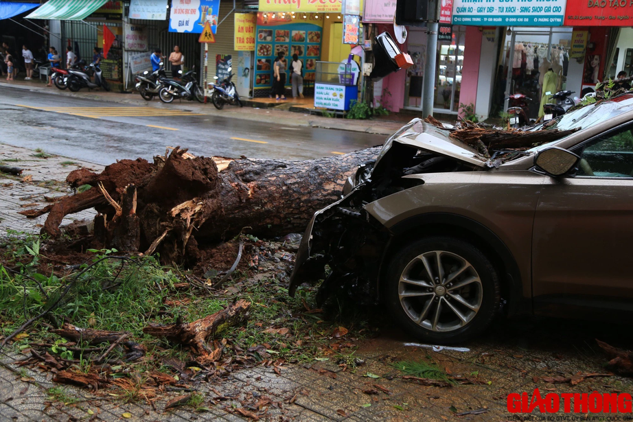 &Ocirc; t&ocirc; đ&acirc;m v&agrave;o gốc c&acirc;y, CSGT đang l&agrave;m hiện trường th&igrave; c&acirc;y g&atilde;y đổ  - Ảnh 2.