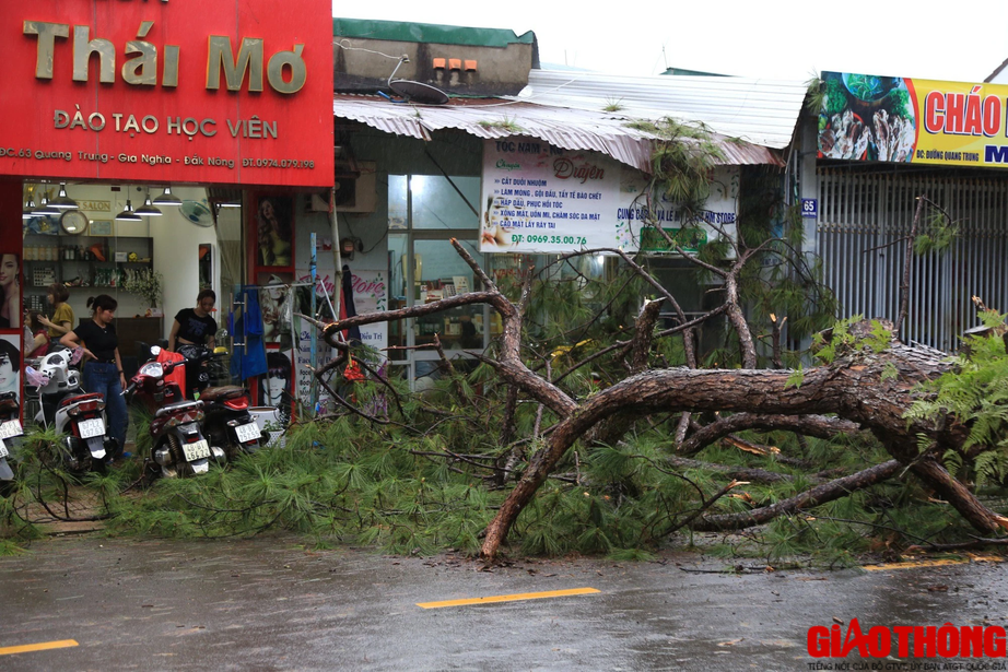 &Ocirc; t&ocirc; đ&acirc;m v&agrave;o gốc c&acirc;y, CSGT đang l&agrave;m hiện trường th&igrave; c&acirc;y g&atilde;y đổ  - Ảnh 4.