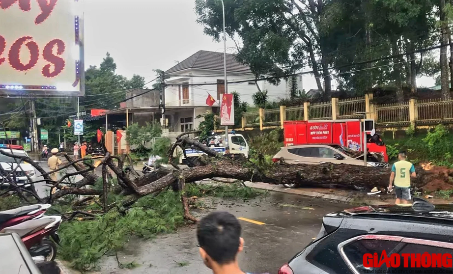 &Ocirc; t&ocirc; đ&acirc;m v&agrave;o gốc c&acirc;y, CSGT đang l&agrave;m hiện trường th&igrave; c&acirc;y g&atilde;y đổ  - Ảnh 5.
