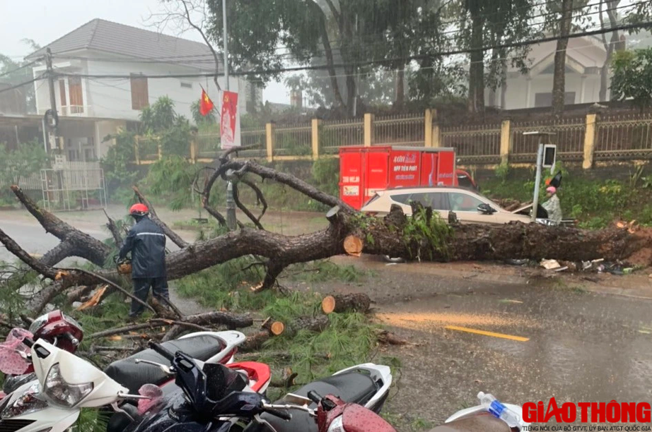 &Ocirc; t&ocirc; đ&acirc;m v&agrave;o gốc c&acirc;y, CSGT đang l&agrave;m hiện trường th&igrave; c&acirc;y g&atilde;y đổ  - Ảnh 6.