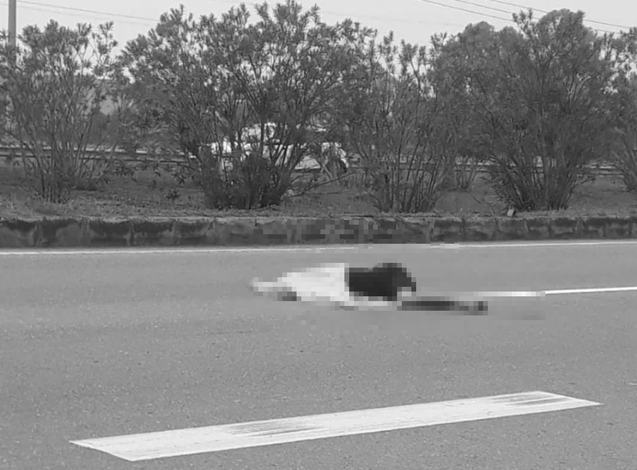 Đi bộ tr&ecirc;n cao tốc, người đ&agrave;n &ocirc;ng bị xe tải đ&acirc;m tử vong - Ảnh 2.