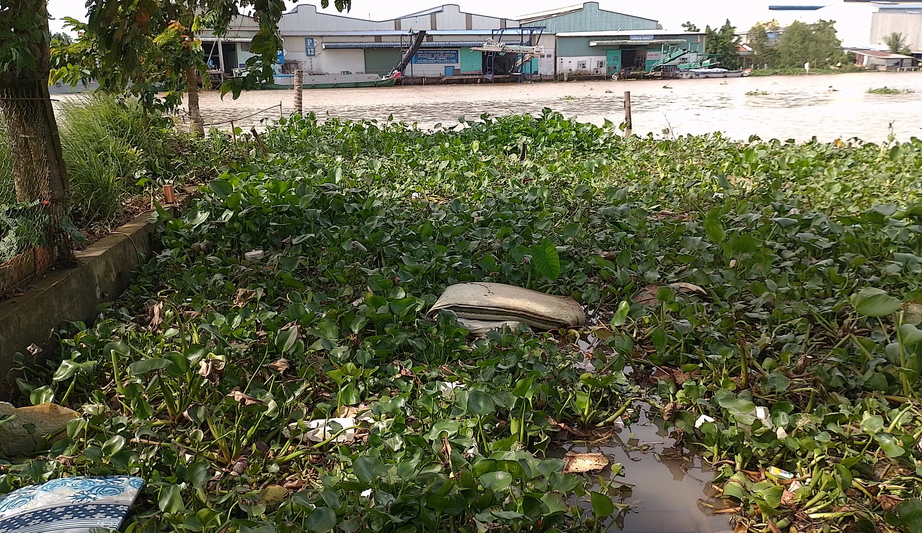 Đồng Th&aacute;p: Cần th&ecirc;m bến đ&ograve; ngang cho x&atilde; c&ugrave; lao An Hiệp, huyện Ch&acirc;u Th&agrave;nh - Ảnh 8.