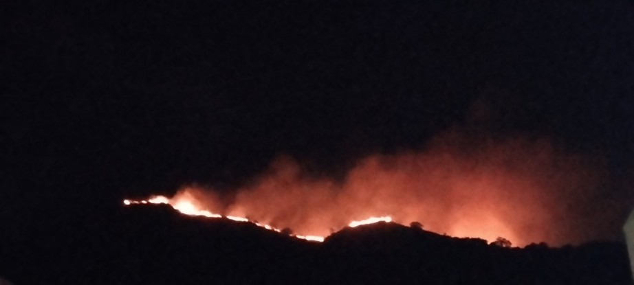 Vụ ch&aacute;y n&uacute;i C&ocirc; Ti&ecirc;n ở TP Nha Trang tắt l&uacute;c nửa đ&ecirc;m- Ảnh 1.