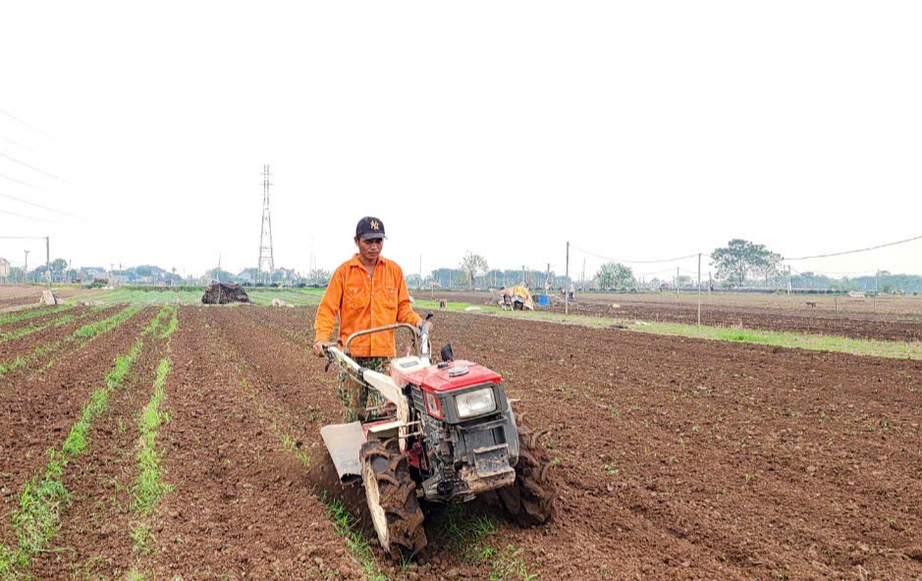 Vựa hoa Thành Nam hối hả vào vụ Tết sau cơn lũ lịch sử- Ảnh 1. Vựa hoa Thành Nam hối hả vào vụ Tết sau cơn lũ lịch sử- Ảnh 1.