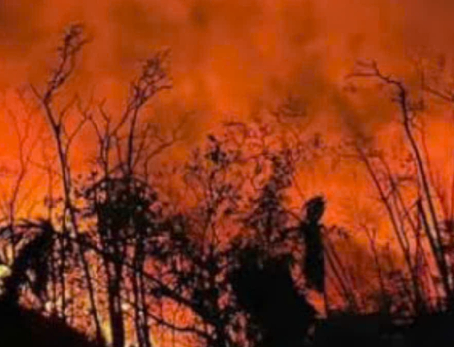 Đồi cây ở trung tâm TP Hạ Long cháy lớn trong đêm- Ảnh 1. Đồi cây ở trung tâm TP Hạ Long cháy lớn trong đêm- Ảnh 1.