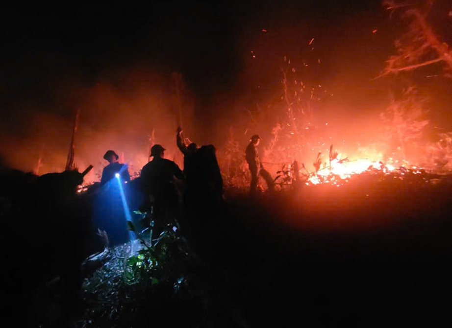 Đồi cây ở trung tâm TP Hạ Long cháy lớn trong đêm- Ảnh 3. Đồi cây ở trung tâm TP Hạ Long cháy lớn trong đêm- Ảnh 3.