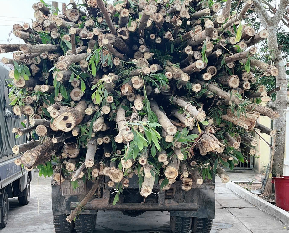 Tổ vi&ecirc;n tổ an ninh cơ sở tử vong sau va chạm với xe tải tr&ecirc;n đường li&ecirc;n th&ocirc;n- Ảnh 1.