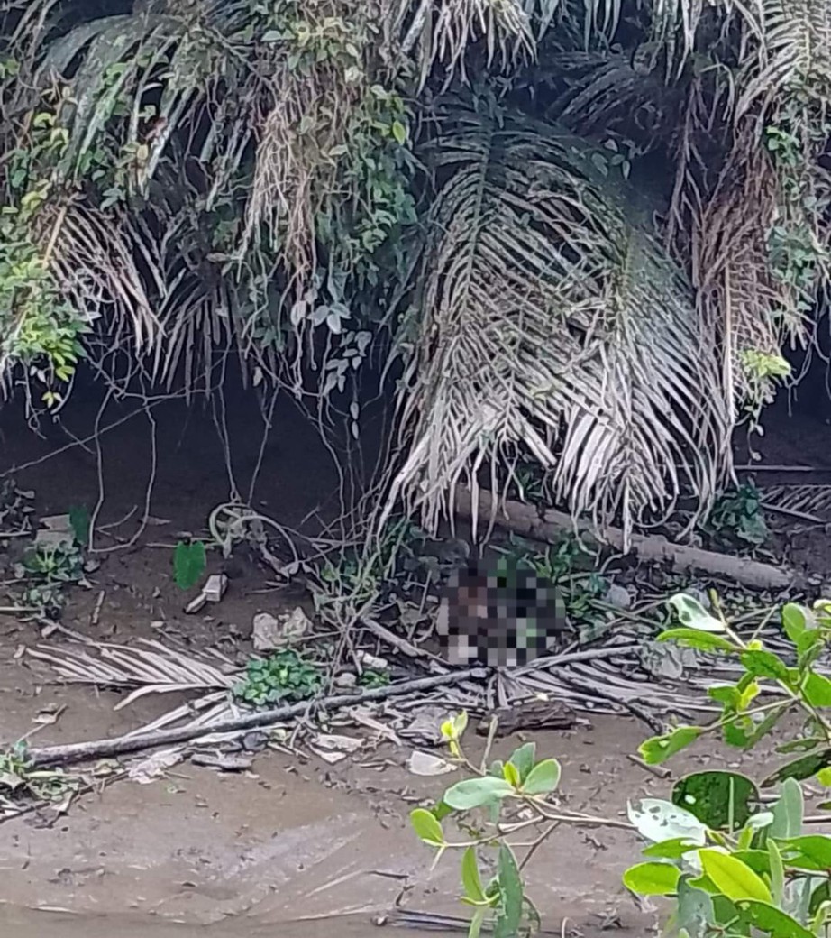 H&eacute; lộ lời khai nghi phạm giết vợ, ph&acirc;n x&aacute;c phi tang ở Vĩnh Long- Ảnh 2.